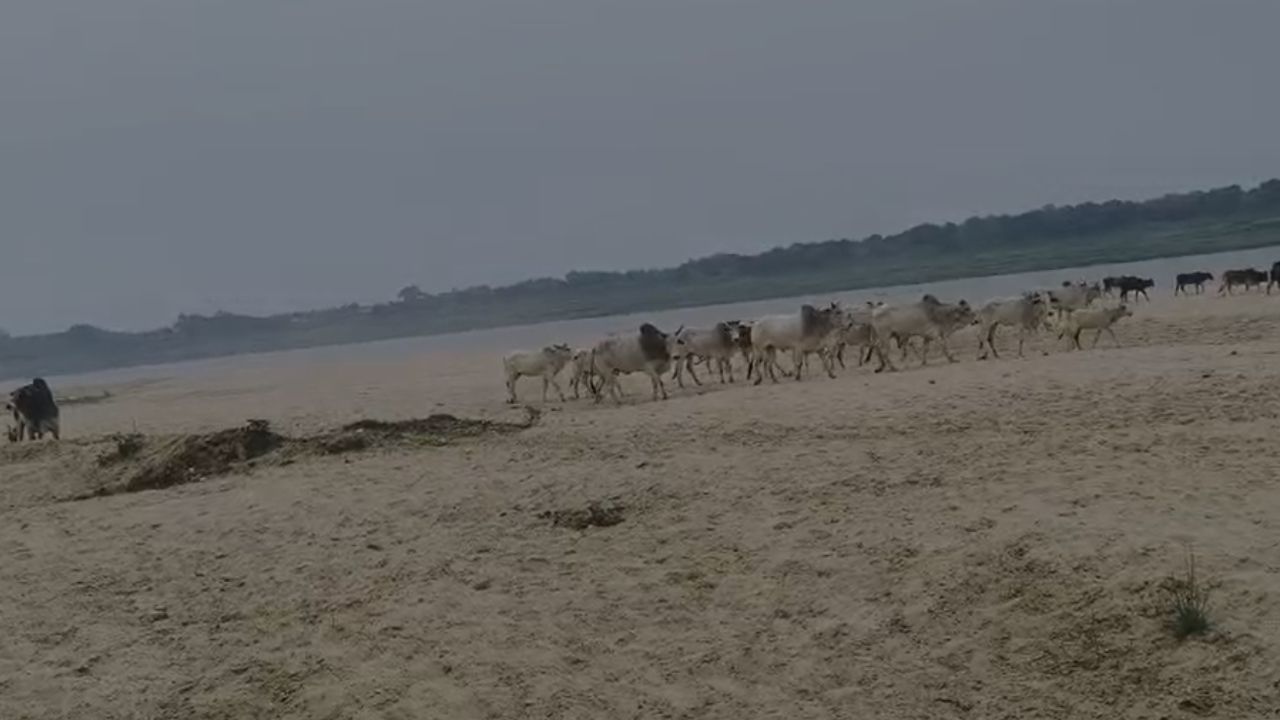 औरैया में किसानों पर टूटा पहाड़, गुस्से में उठाया बड़ा कदम; जानिये पूरा मामला