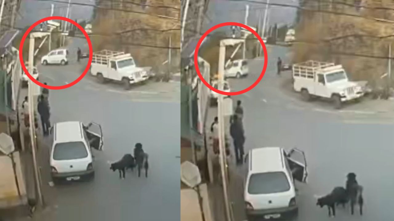 शिमला में ड्राइविंग के दौरान बड़ा हादसा, वीडियो वायरल होते ही मचा बवाल