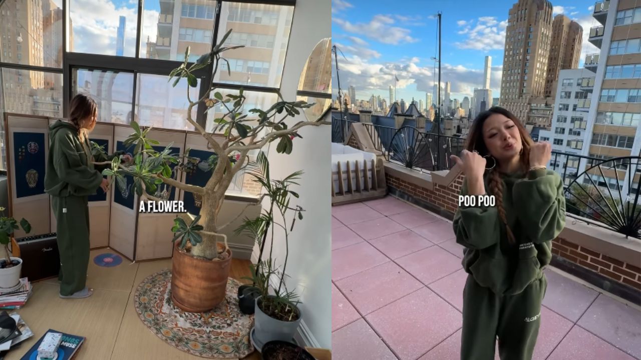 ड्रीम होम या मानसिक शांति का तरीका, न्यूयॉर्क का Viral Video देखकर यूजर्स के उड़ गए होश