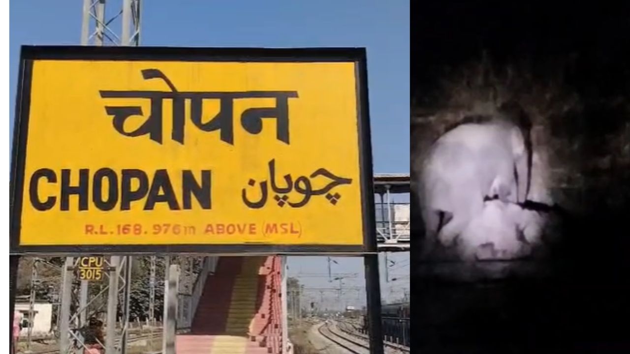 ट्रेन की चपेट में आया हाथी, झारखंड से सोनभद्र तक असर, आवाजाही भी ठप