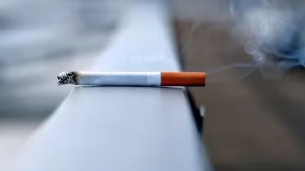 Budget Session 2026: सिगरेट की लंबाई जितनी ज्यादा होगी, उतना लगेगा टैक्स; जानें आज और किस-किस चीज की कीमत में होगा बदलाव