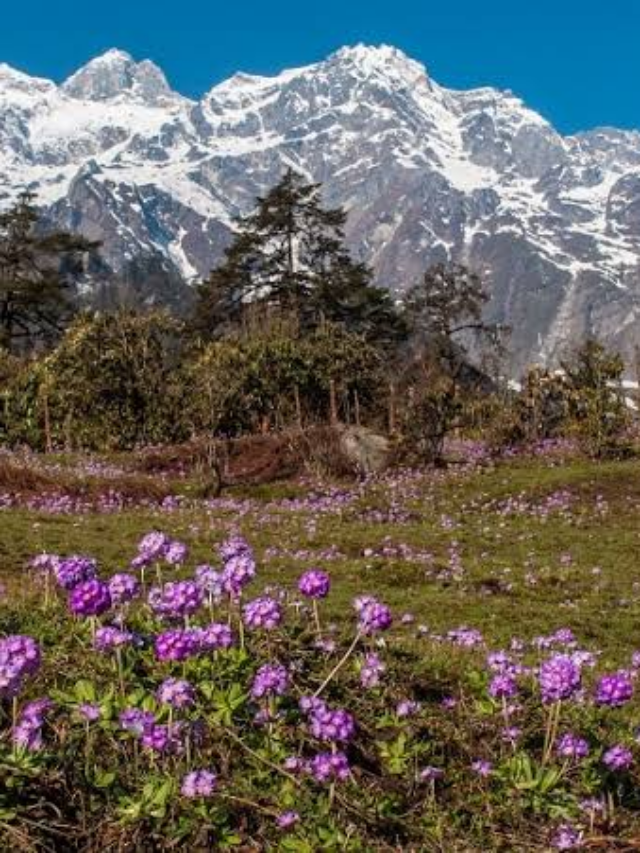 जानिये फरवरी में घूमने की बेस्ट जगहें