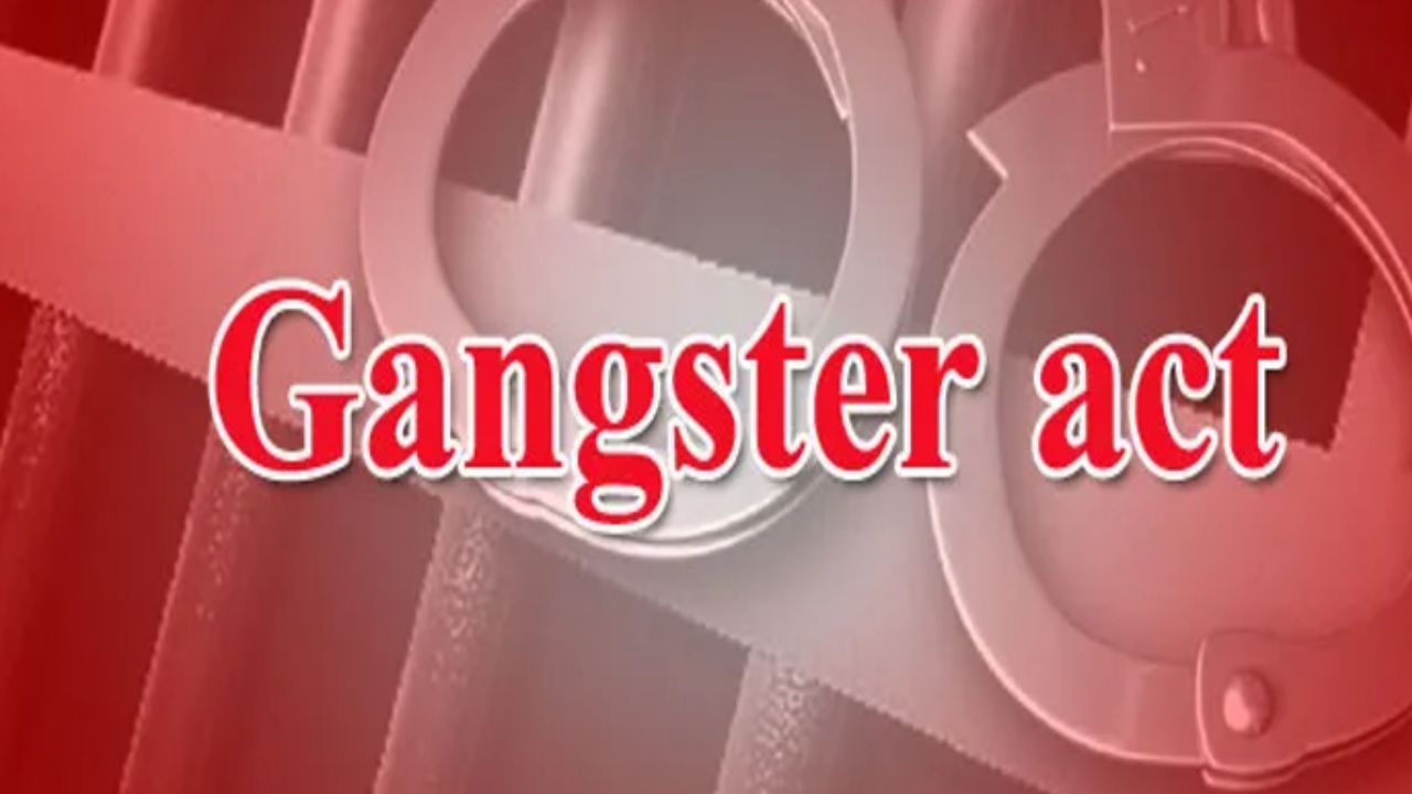 गोरखपुर में पशु-तस्करी गिरोह पर बड़ा एक्शन, तीन शातिर अपराधियों पर लगा गैंगस्टर एक्ट