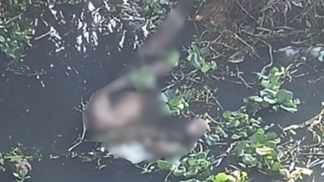 Gorakhpur News: नहर में ऐसा क्या दिखा कि दहल उठा गोरखपुर, मिनटों में जमा हो गई सैकड़ों लोगों की भीड़