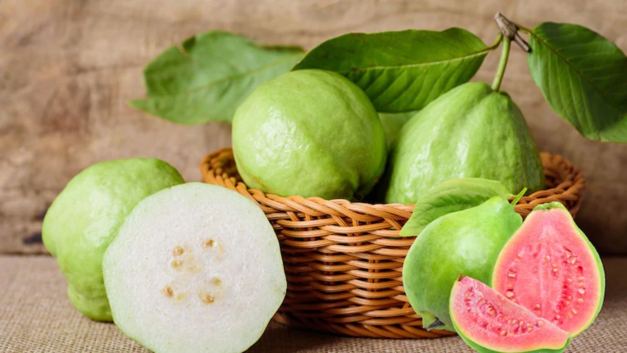 Guava Side Effects: जानें अमरूद के नुकसान, किन लोगों को इसे खाने से करना चाहिए परहेज?