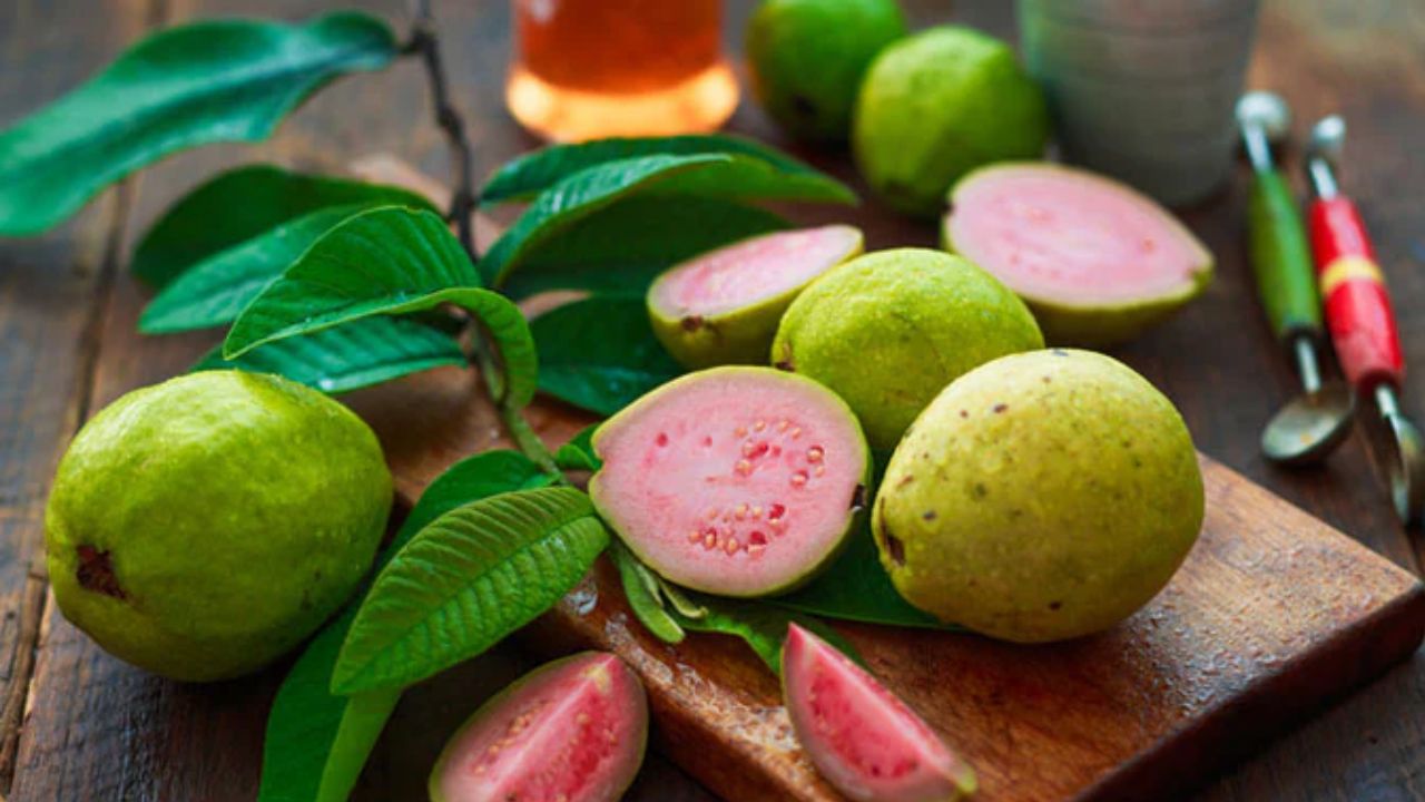 कुछ लोगों में अमरूद खाने से खुजली, रैशेज या एक्जिमा जैसे रिएक्शन हो सकते हैं। यह शरीर की अंदरूनी गर्मी बढ़ाता है, जिससे सेंसिटिव स्किन पर जलन और सूजन हो जाती है। इसके अलावा, अमरूद एक ठंडा फल है और कुछ लोगों में खांसी, बलगम या गले में खराश बढ़ा सकता है। खासकर सर्दियों में या रात में इसका सेवन करने से ये दिक्कतें और बढ़ सकती हैं। (Img: Google) कुछ लोगों में अमरूद खाने से खुजली, रैशेज या एक्जिमा जैसे रिएक्शन हो सकते हैं। यह शरीर की अंदरूनी गर्मी बढ़ाता है, जिससे सेंसिटिव स्किन पर जलन और सूजन हो जाती है। इसके अलावा, अमरूद एक ठंडा फल है और कुछ लोगों में खांसी, बलगम या गले में खराश बढ़ा सकता है। खासकर सर्दियों में या रात में इसका सेवन करने से ये दिक्कतें और बढ़ सकती हैं। (Img: Google)