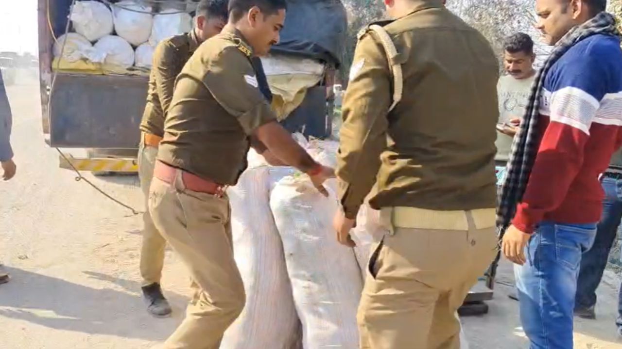 ANTF और चंदौली पुलिस की बड़ी कामयाबी, भारी मात्रा में अवैध गांजा बरामद