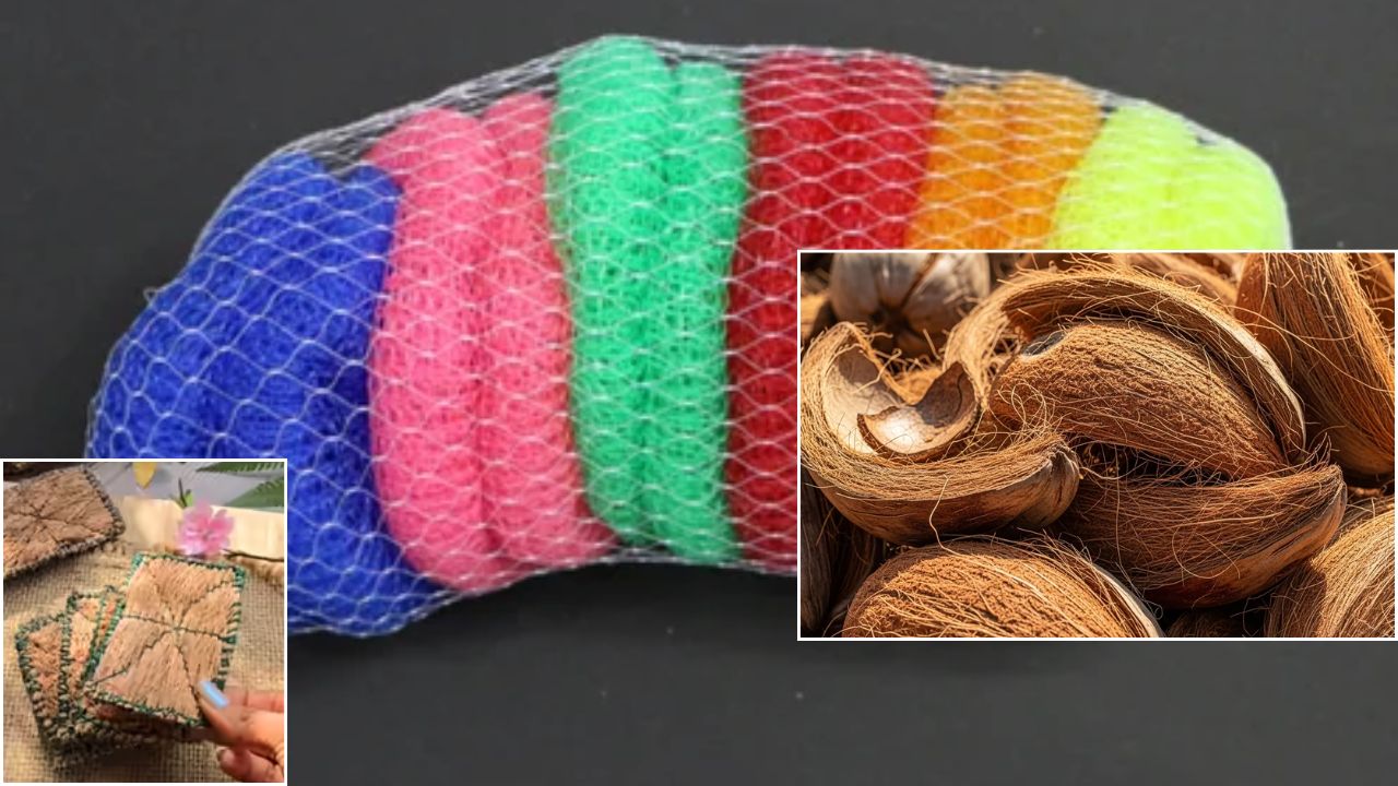 प्लास्टिक स्क्रबर को कहें अलविदा, नारियल रेशों से घर में बनाएं मजबूत और नेचुरल स्क्रबर