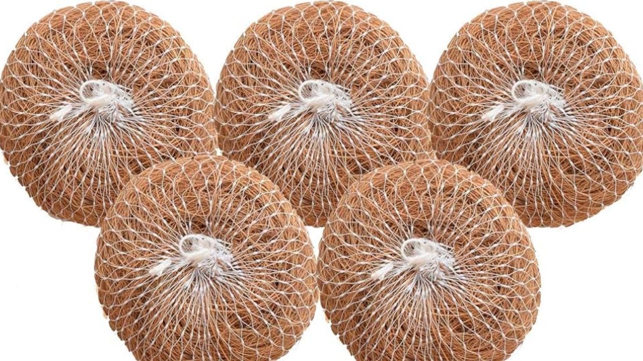 अंत में कैंची से अतिरिक्त रेशे काटें। इससे स्क्रबर साफ-सुथरा और सुंदर दिखता है। अब आपका प्लास्टिक फ्री, इको-फ्रेंडली, और घर पर बना बर्तन साफ करने वाला स्क्रबर इस्तेमाल के लिए तैयार है। यह तरीका पैसे बचाने और जीरो-वेस्ट जीवनशैली की दिशा में भी योगदान देता है।(फोटो सोर्स- इंटरनेट) अंत में कैंची से अतिरिक्त रेशे काटें। इससे स्क्रबर साफ-सुथरा और सुंदर दिखता है। अब आपका प्लास्टिक फ्री, इको-फ्रेंडली, और घर पर बना बर्तन साफ करने वाला स्क्रबर इस्तेमाल के लिए तैयार है। यह तरीका पैसे बचाने और जीरो-वेस्ट जीवनशैली की दिशा में भी योगदान देता है।(फोटो सोर्स- इंटरनेट)