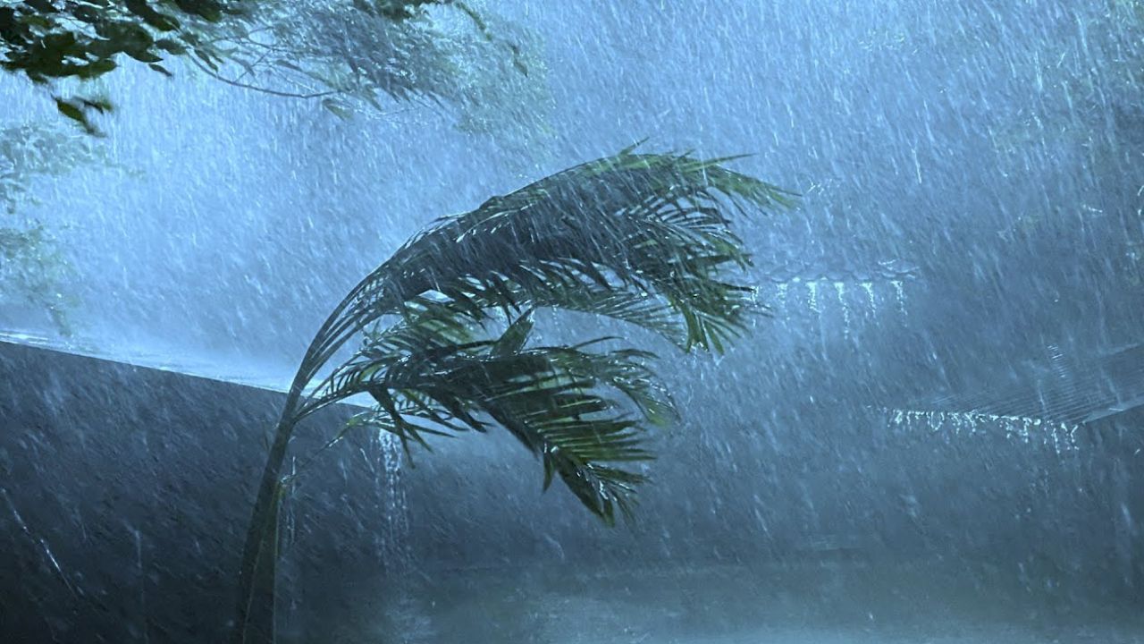 पश्चिमी उत्तर प्रदेश के कुछ जिलों में सुबह के समय घना कोहरा छाए रहने की संभावना है। गाजियाबाद, अलीगढ़, मथुरा, आगरा, कानपुर, अयोध्या, देवरिया और गोरखपुर जैसे जिलों में विजिबिलिटी कम हो सकती है। दिन चढ़ने के साथ कोहरा छंट जाएगा, लेकिन सुबह सड़क, रेल और हवाई ट्रैफिक पर असर पड़ सकता है। प्रशासन ने ड्राइवरों को सलाह दी है कि वे सावधानी बरतें और ज़रूरी होने पर ही यात्रा करें। (Img: Google)