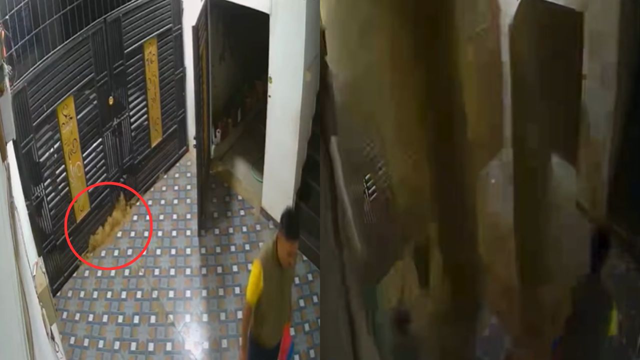 टाइल्स तोड़कर फूटा पानी का सैलाब: हाई प्रेशर बोरिंग से घर में मची तबाही, मौत को छूकर निकला पूरा परिवार