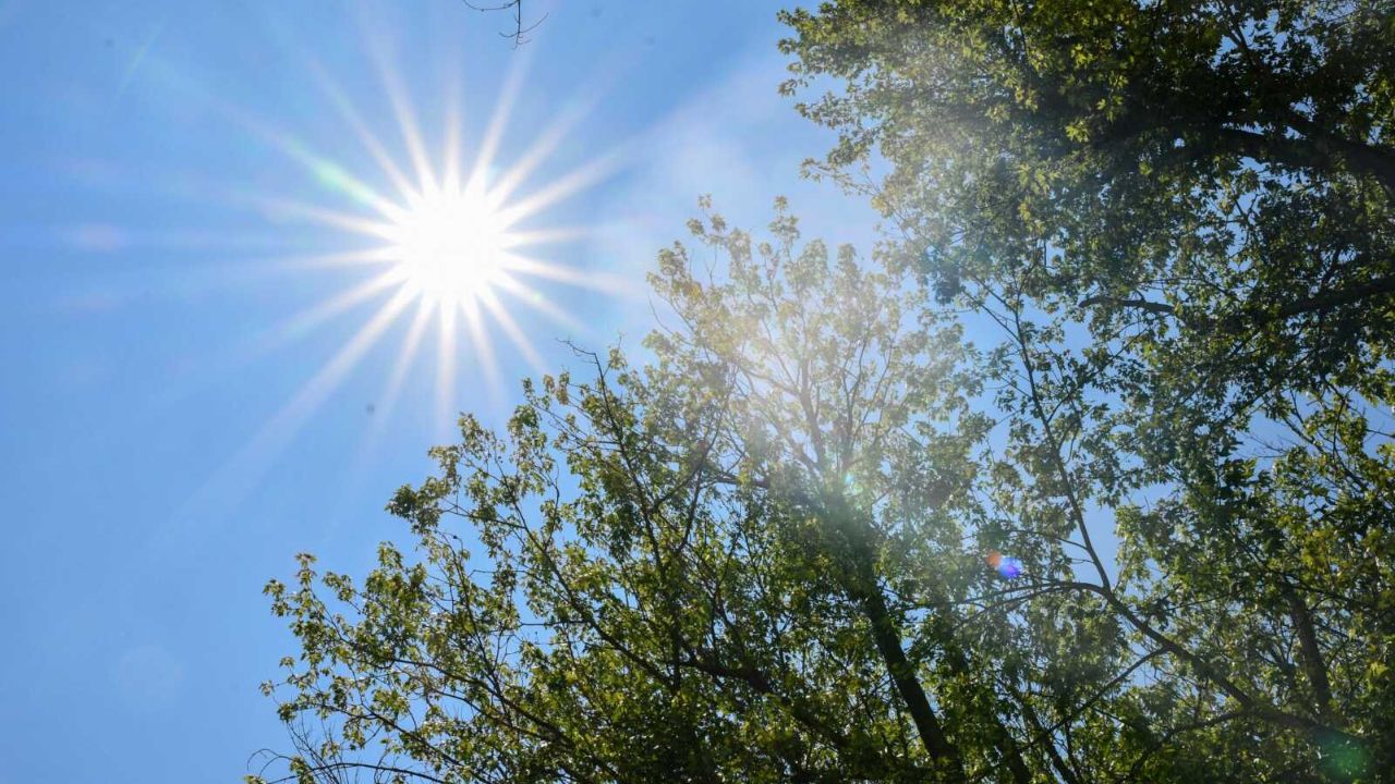 Delhi Weather Update: फरवरी में ही बढ़ी गर्मी, जानें कैसा रहेगा मौसम? IMD ने दिया ये अलर्ट