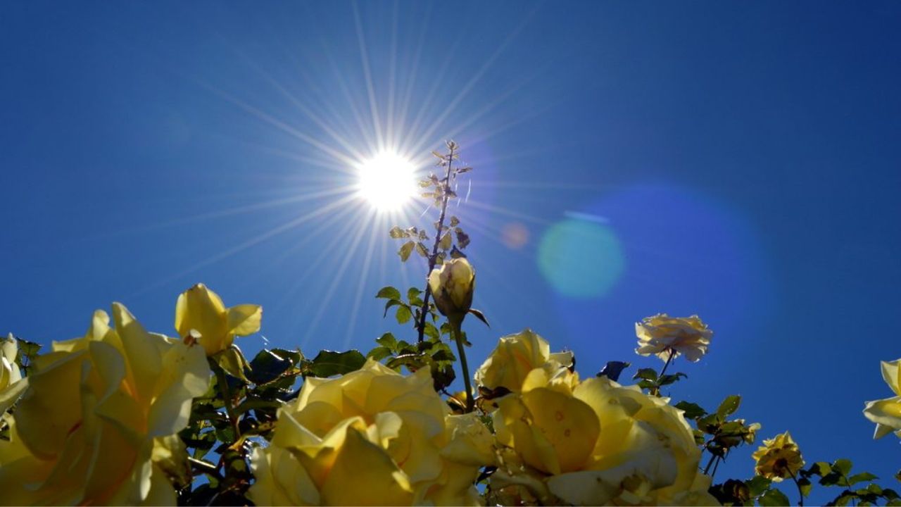 Weather Update: दिल्ली में गर्मी ने दी दस्तक, जानें कब से होगा तापमान और हाई?