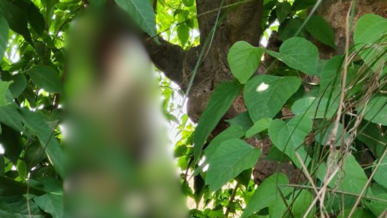 हत्या या आत्महत्या? देवरिया में पेड़ से लटका मिला लापता अधेड़ का शव, जांच में जुटी पुलिस