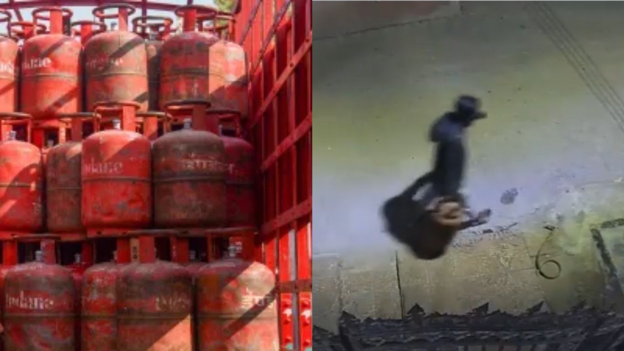 भोपाल में चौंकाने वाली चोरी, रिटायर्ड जज के घर से 4 LPG सिलेंडर गायब; CCTV कैमरे में कैद चोरों का वीडियो वायरल