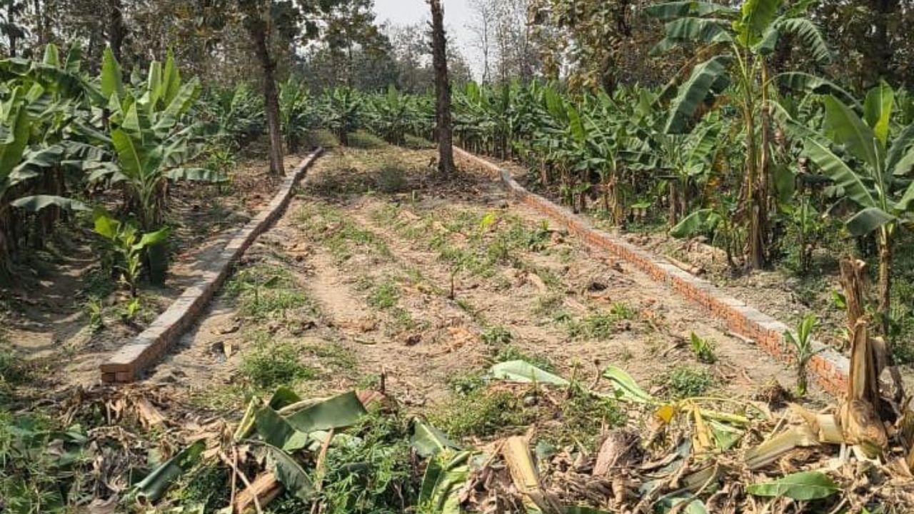 Maharajganj Land Mafia: भूमाफियाओं का आतंक, कोर्ट के आदेश के बाद भी दबंगई बरकरार; पढ़ें पूरी खबर