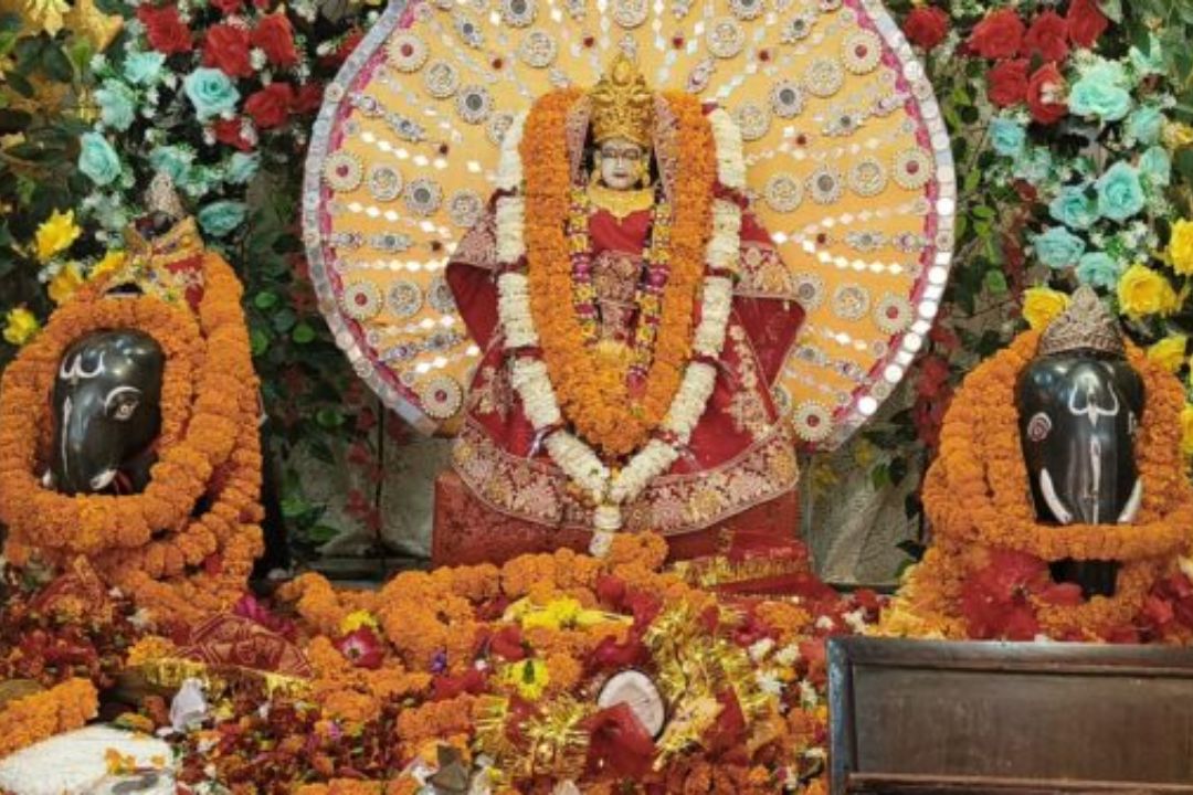 महराजगंज में आस्था का सैलाब! चैत्र नवरात्र के पहले दिन श्री दुर्गा मंदिर में उमड़ी भीड़, क्या है इस श्रद्धा का रहस्य?