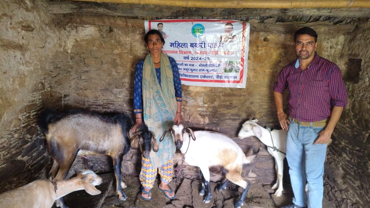 Pauri Garhwal: पशुपालन बना रोजगार का जरिया, इस व्यवसाय में युवा दिखा रखे रुचि