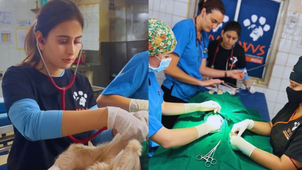 Pics of Arjun-Saaniya Chandhok Wedding 