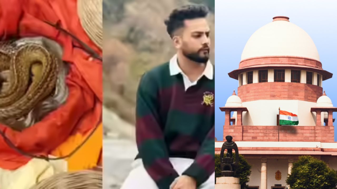 Elvish Yadav Snake Venom Case: सुप्रीम कोर्ट से एल्विश यादव को राहत, सांप के जहर वाले केस में आया ये फैसला