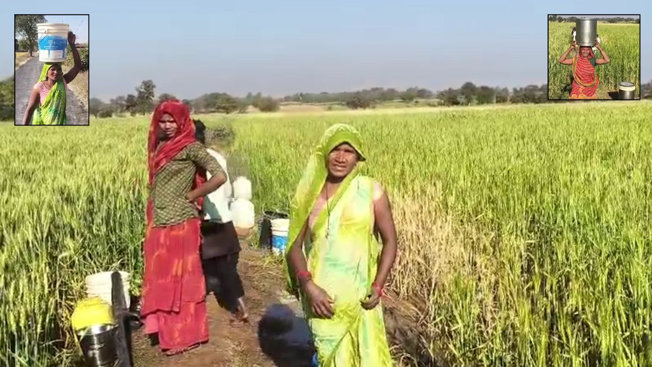 कागजों में चमकता विकास, हकीकत में बदहाल पड़ा मिर्जापुर का ये गांव… आज भी बुनियादी सुविधाओं के लिए तरस रहे ग्रामीण