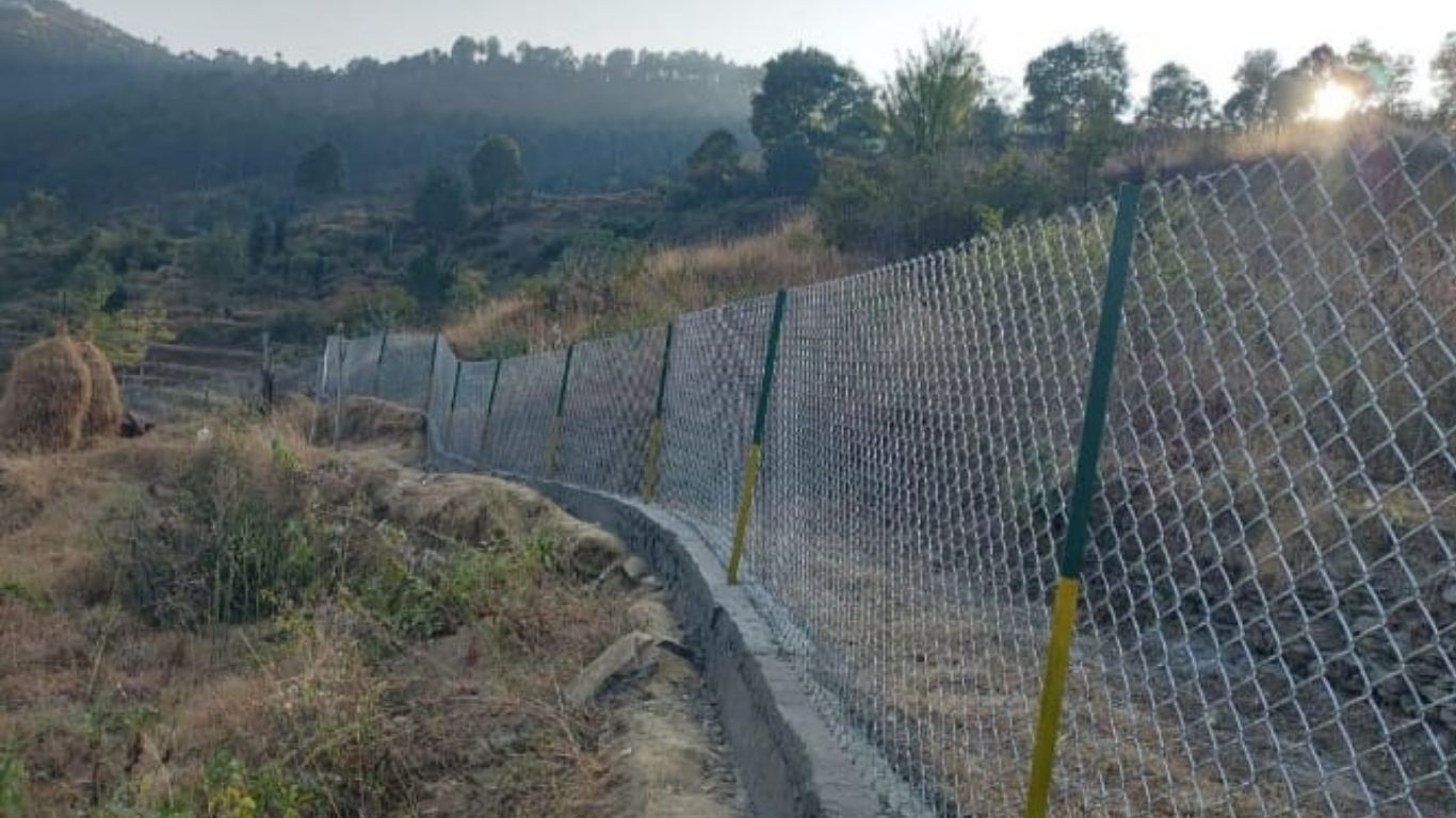 जंगली जानवरों के आतंक से मुक्त हुई पौड़ी की फसलें; जानिए क्या है कृषि विभाग की नई घेरबाड़ योजना?