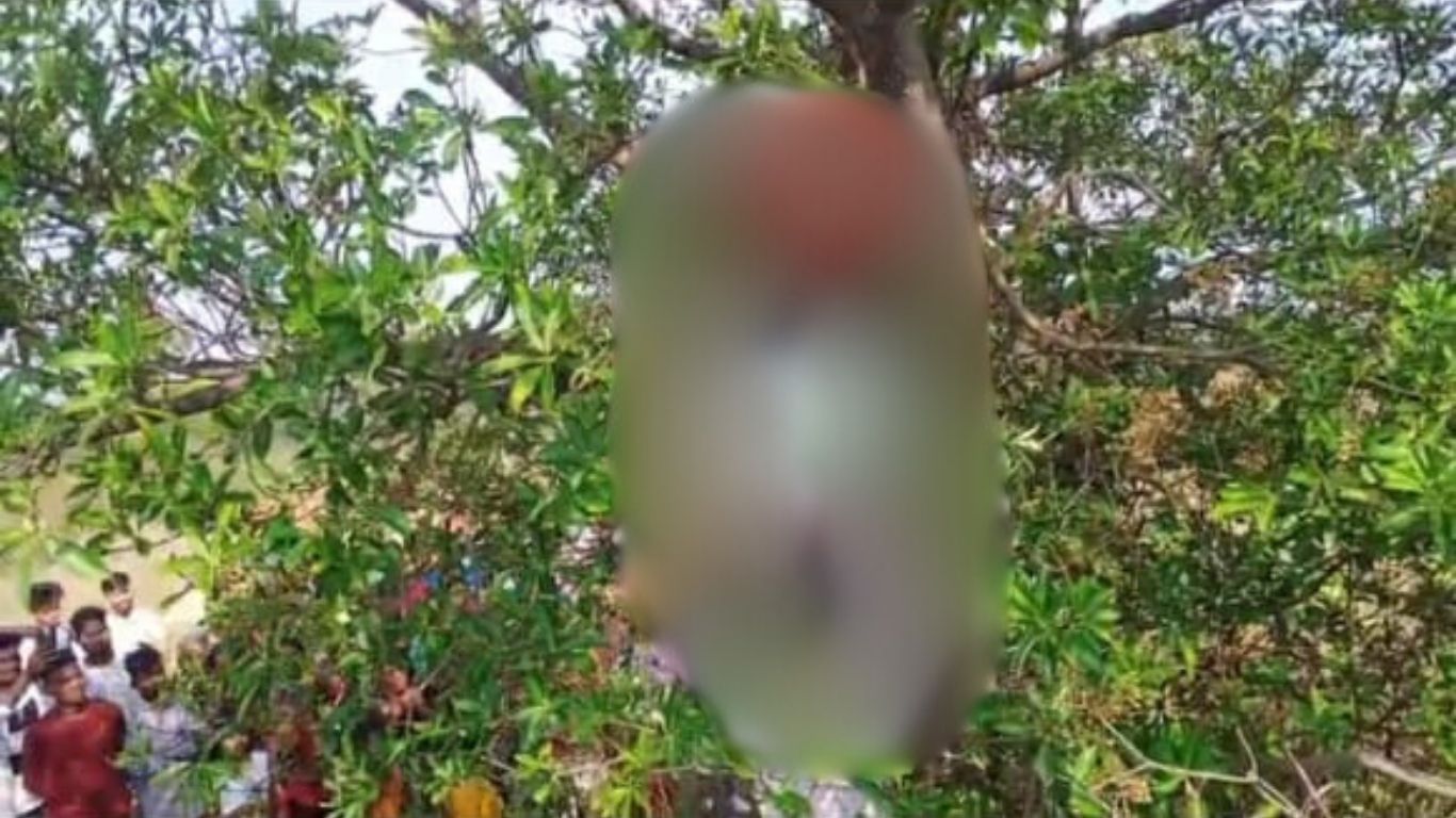 पेड़ से झूलता शव और पुलिस की तफ्तीश, जानें क्या पोस्टमार्टम रिपोर्ट खोल पाएगी मौत की असली वजह?