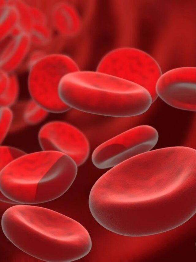 शरीर में खून का स्तर बढ़ाने में कौन से फल मदद करते हैं?