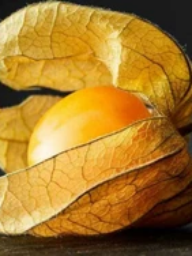 रसभरी में कौन से विटामिन, मिनरल और फ़ायदे होते हैं?