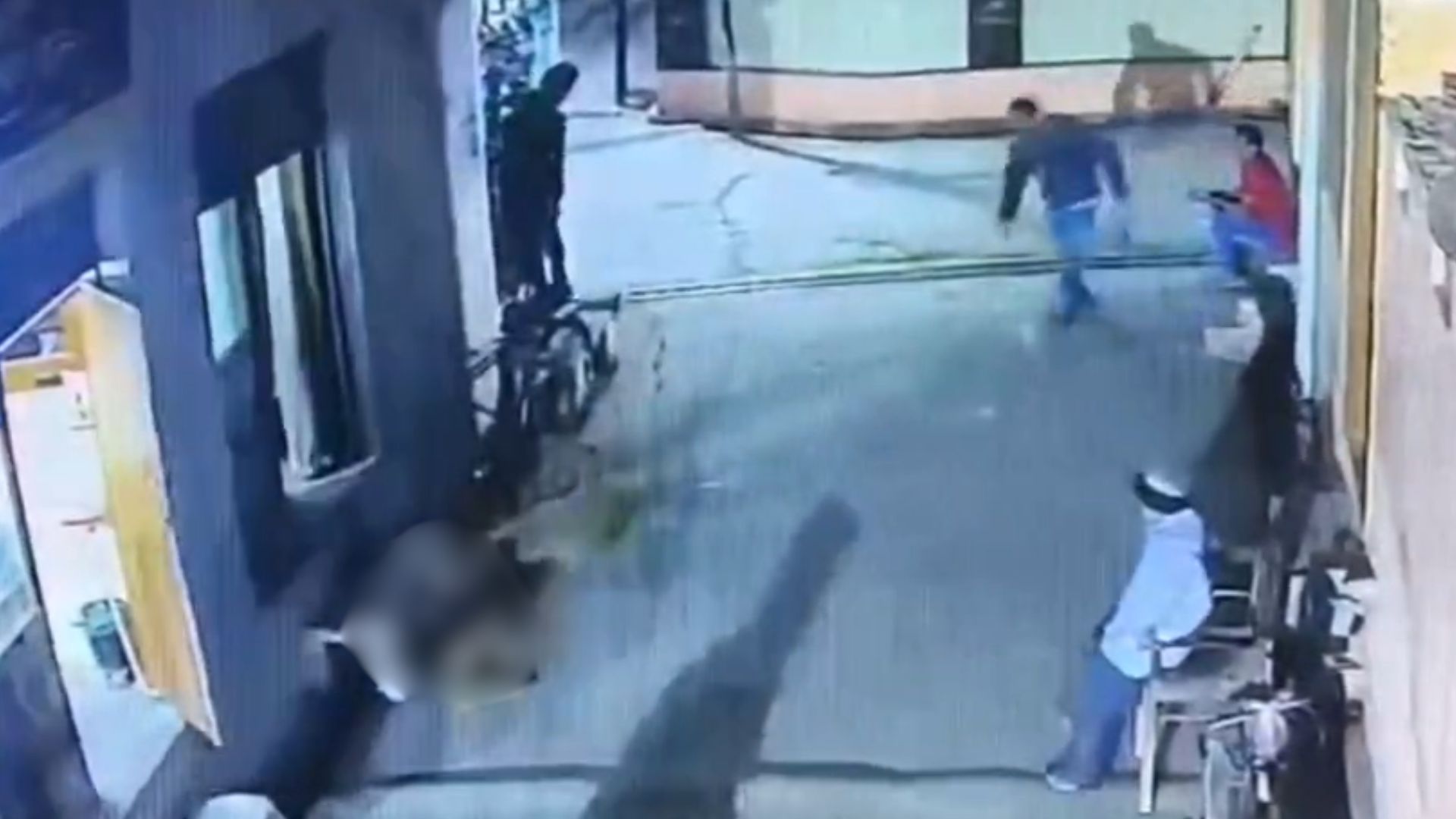 CCTV में कैद हुई हैरान कर देने वाली घटना! युवक ने कुत्ते को जमीन पर पटक-पटक कर किया घायल, भड़के लोग