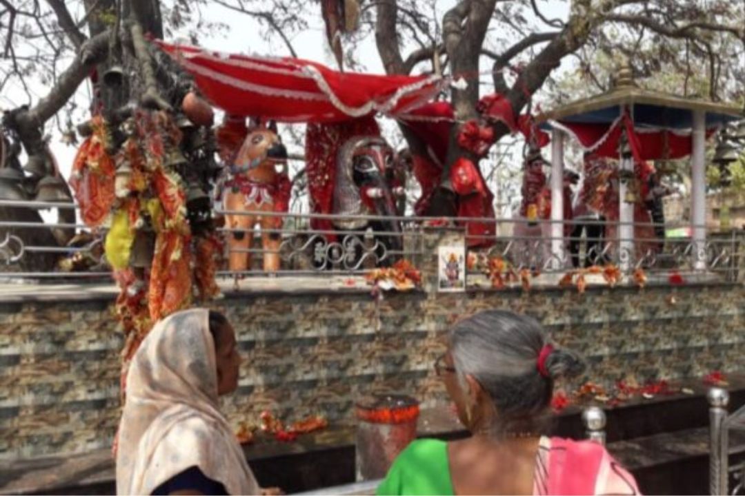 सरयू किनारे छिपा चमत्कार! जहां मां के दरबार में मांगी हर मन्नत होती है पूरी, नवरात्र में उमड़ा जनसैलाब