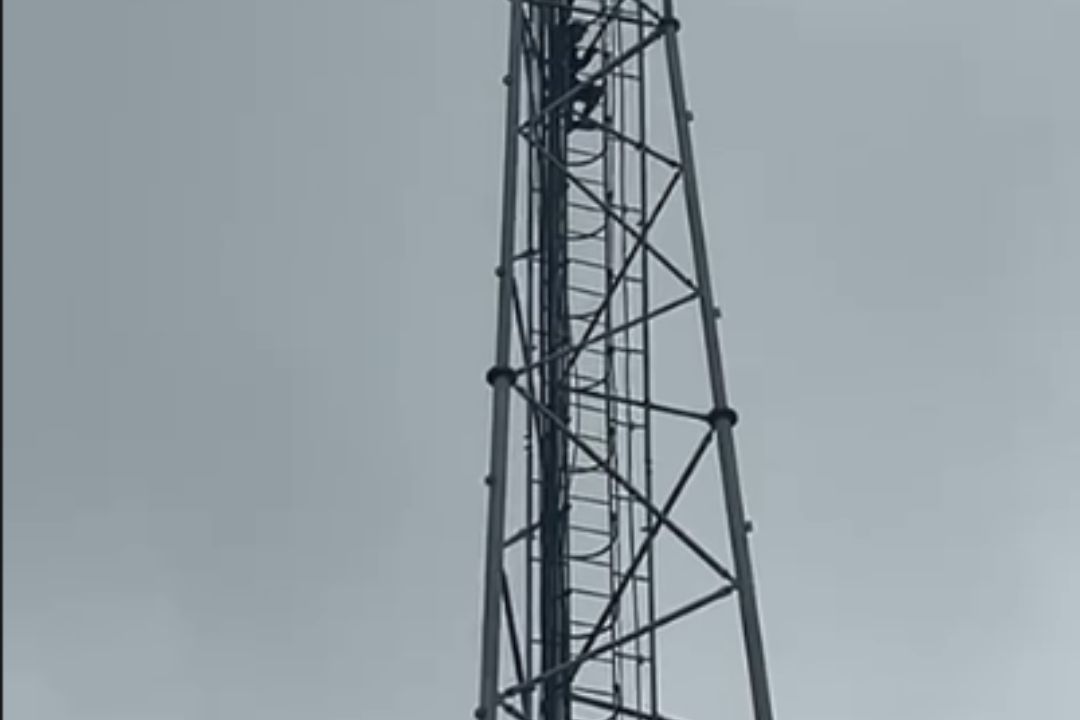 Budaun News: नशे में टावर पर चढ़ा युवक…डेढ़ घंटे तक हंगामा, आगे जो हुआ…