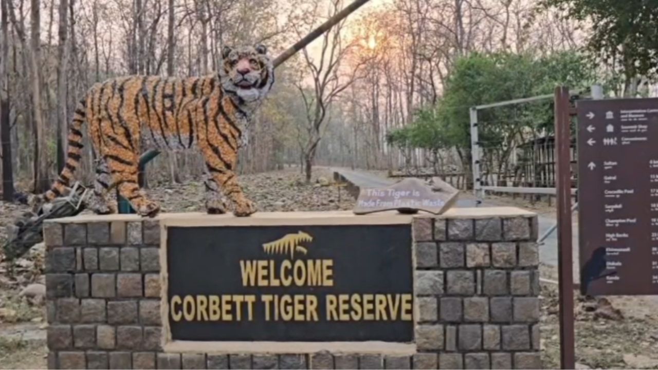 सीटें कम, दावेदार ज्यादा… कॉर्बेट में किसे मिलेगा परमिट, 1 अप्रैल को होगा फैसला