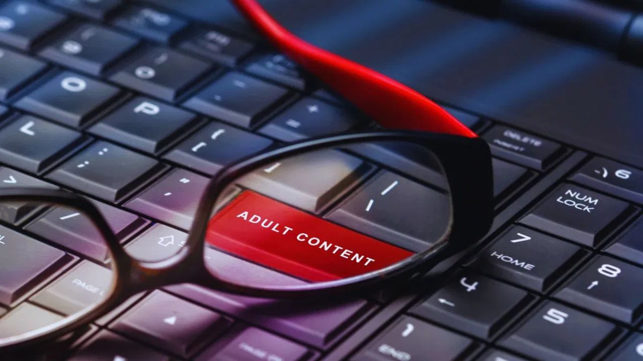 इन AI चैटबॉट्स में टेक्स्ट, इमेज और वीडियो के जरिए बातचीत की सुविधा होती है, लेकिन इन पर प्रभावी निगरानी का अभाव है। इससे आपत्तिजनक या गैरकानूनी कंटेंट बनने का खतरा बढ़ जाता है। रिपोर्ट में यह भी सामने आया कि कुछ प्लेटफॉर्म्स यूजर्स को यह तक नहीं बताते कि गलत या अपराध से जुड़ी चीजें मांगना कानूनन अपराध हो सकता है।