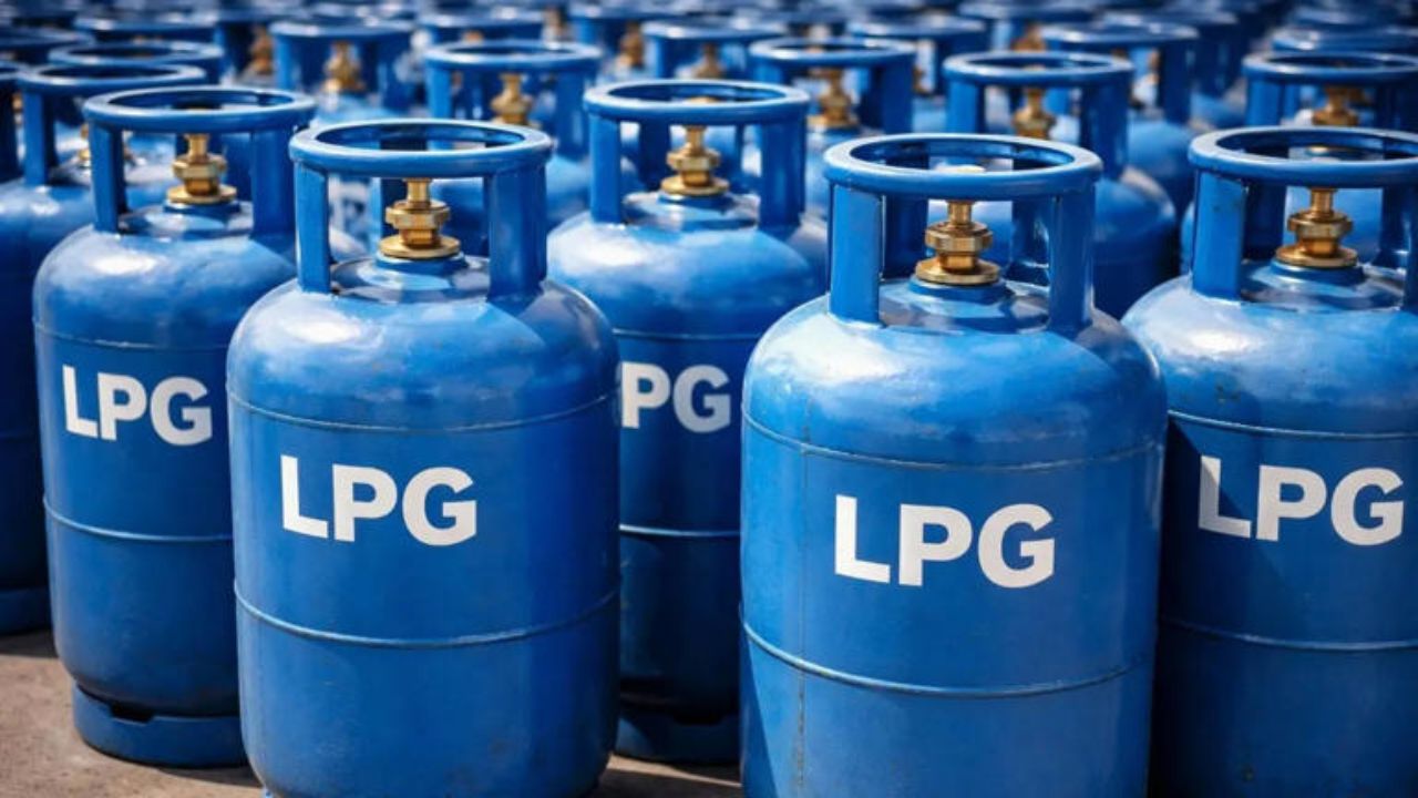 LPG सप्लाई हिली तो सरकार हुई सख्त, छोटे सिलेंडर की बिक्री में विस्तार, PNG से बदली पूरी तस्वीर