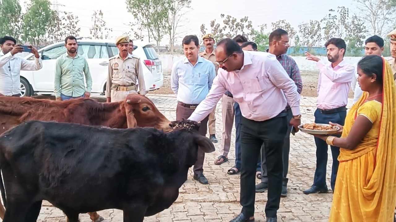 महराजगंज: गौआश्रय की डीएम ने परखी हकीकत, केयरटेकर और बेहतर व्यवस्था पर दिया जोर