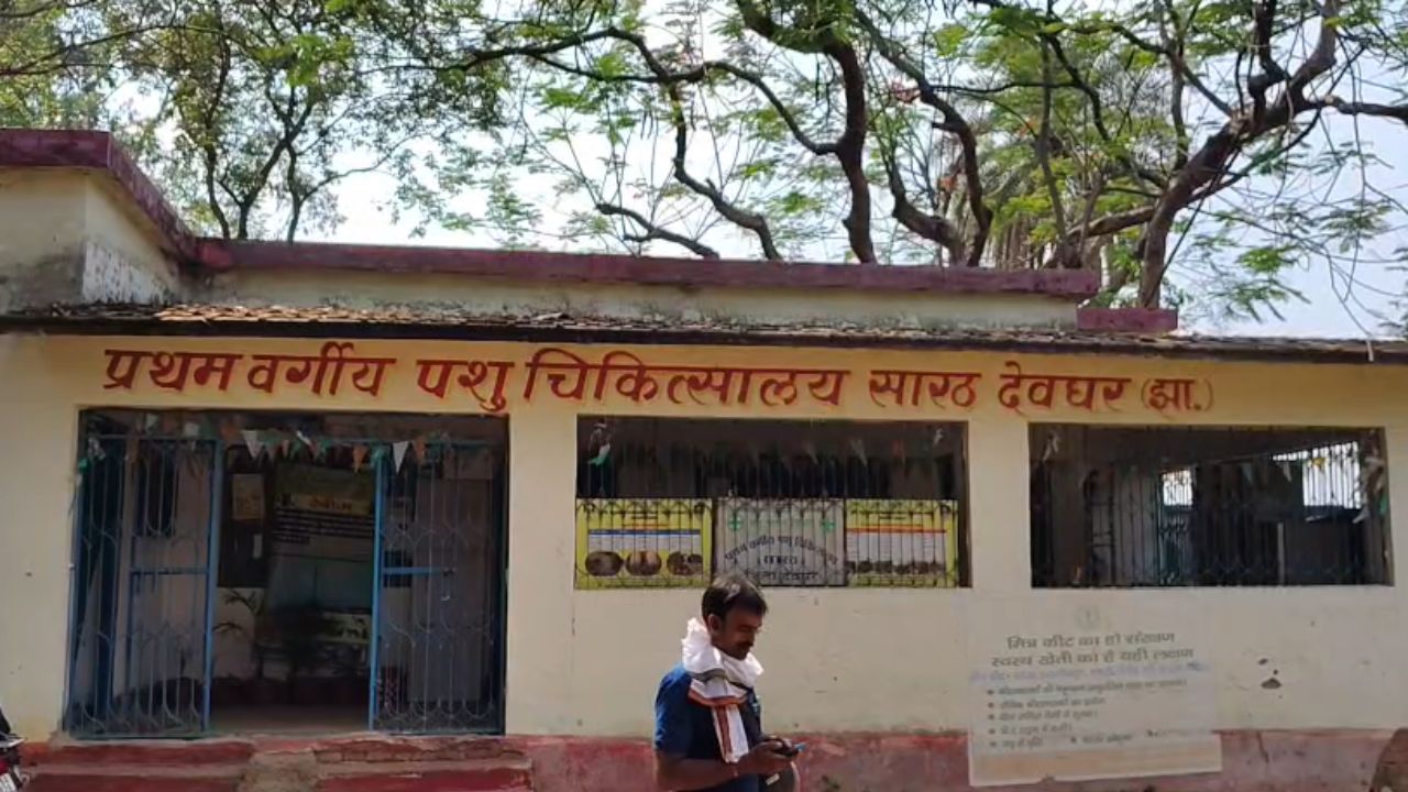 देवघर में पशु अस्पताल बेहाल! दवाओं की कमी से पशुपालक परेशान