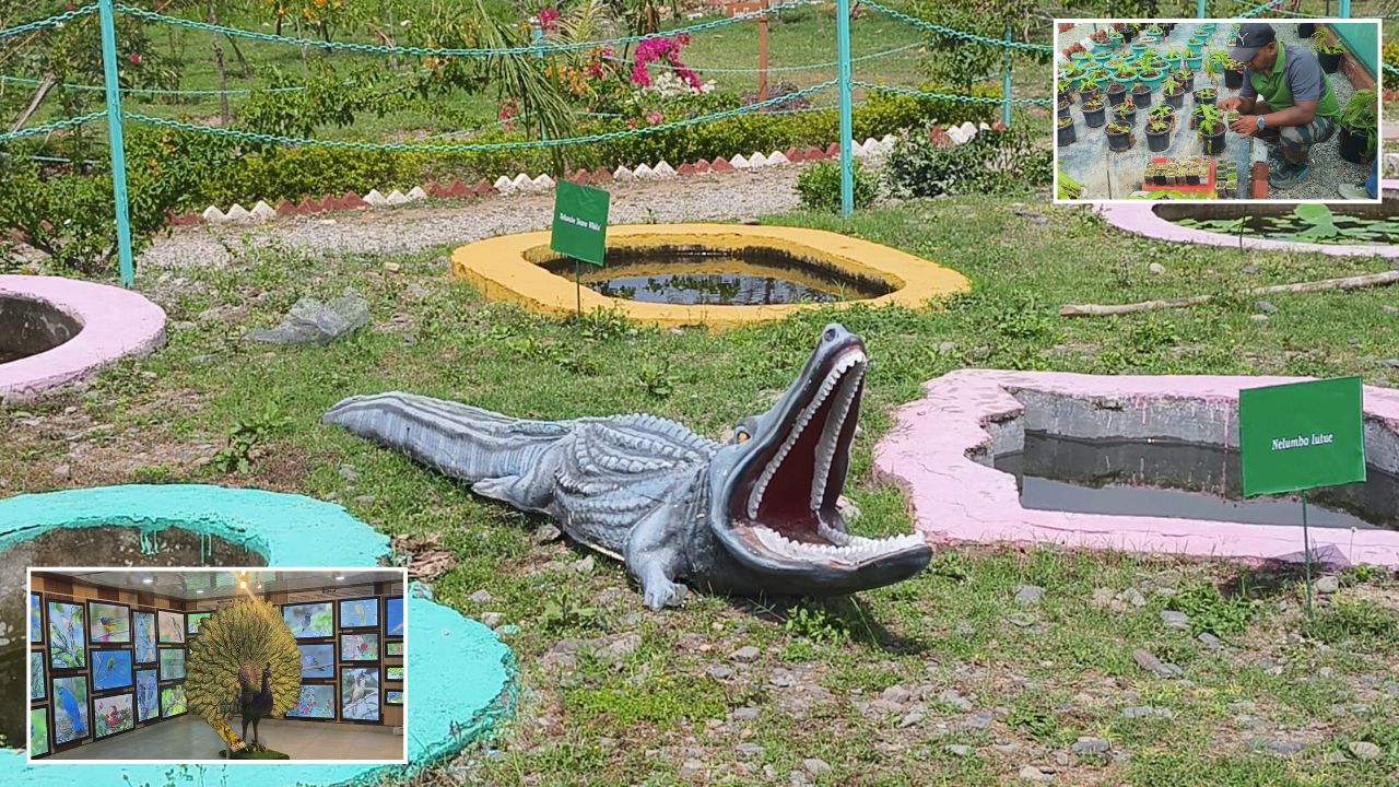 देहरादून का नया हॉटस्पॉट: जोली ग्रांट वन अनुसंधान रेंज ने खींचा सबका ध्यान, आखिर क्या है खास?