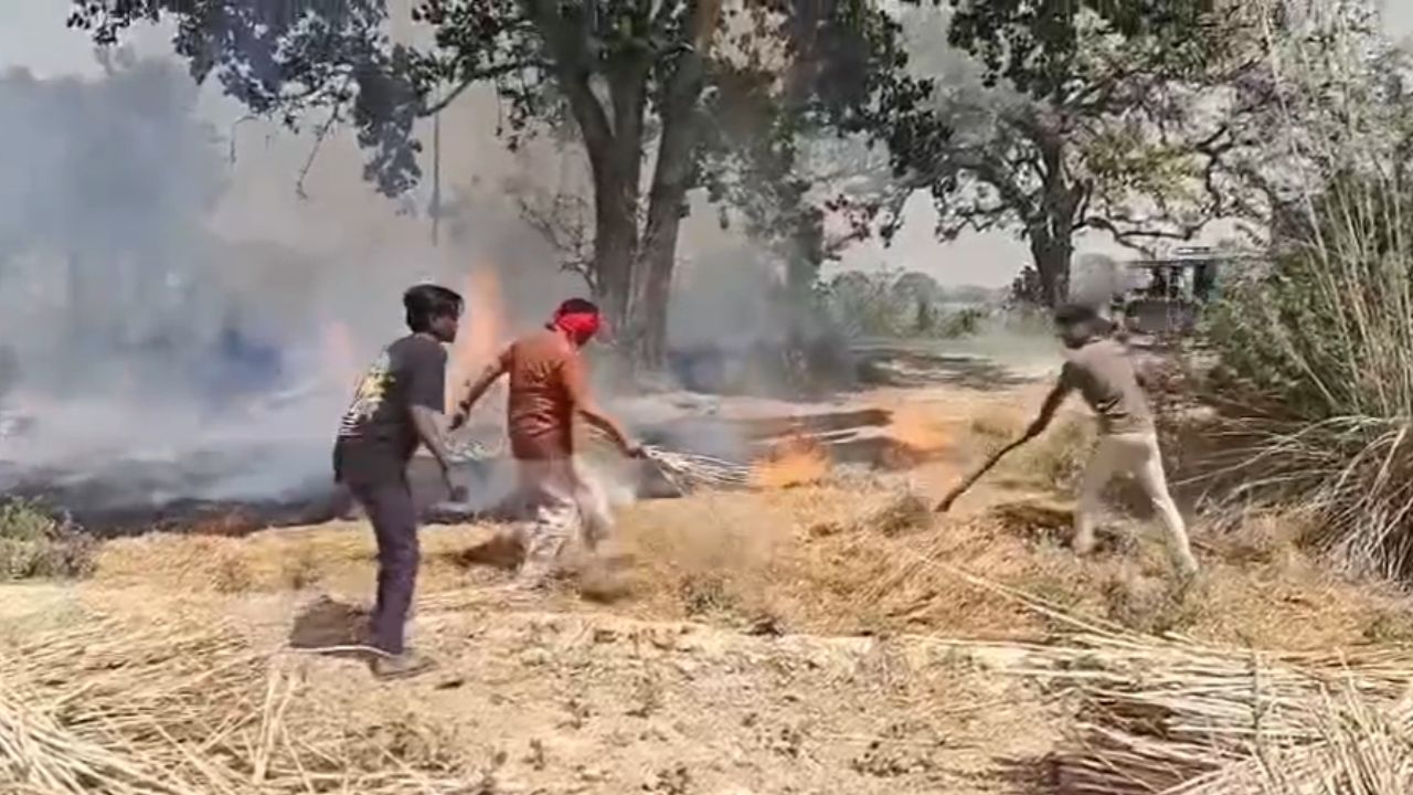 Fatehpur News: गेहूं के खेत में लगी भीषण आग, सपा नेता और ग्रामीणों ने ऐसे बचाई फसल…