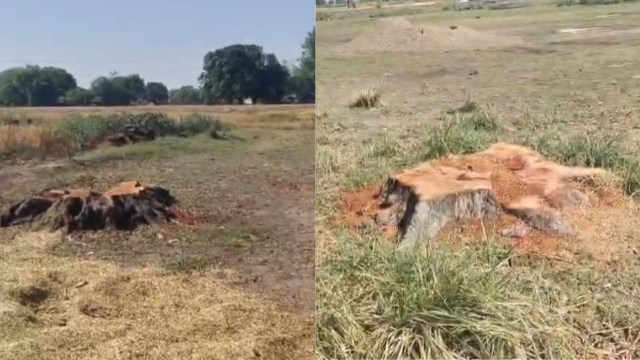 Fatehpur: असोथर में अचानक पर्यावरणीय संकट, ग्रामीणों में भारी आक्रोश