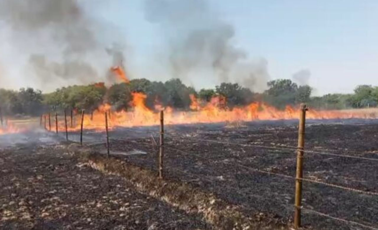 रायबरेली में फिर जली फसल, 5 बीघा गेहूं राख… मुआवजे की मांग तेज