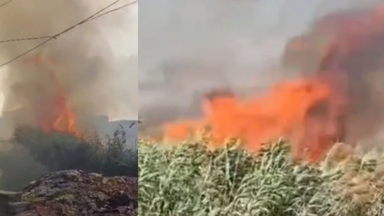 एटा में तालाब किनारे झाड़ियों में लगी भीषण आग