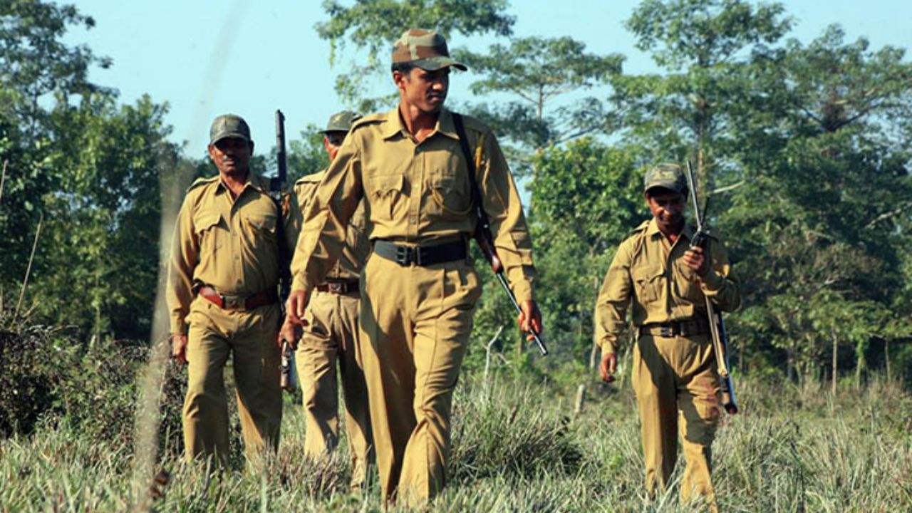 UPSSSC Vacancy: यूपी में वन विभाग में इन पदों पर मिलेगी नौकरी, कब तक कर सकते हैं आवेदन