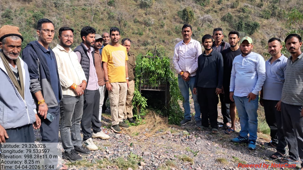 जंगल से निकला ‘खूनी साया’, घास लेने गई महिला को बनाया निशाना; पढ़ें पूरी खबर