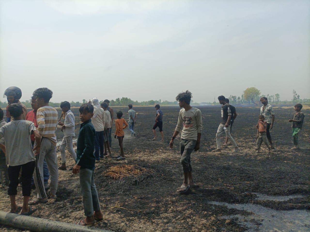 रायबरेली में आग का कहर: 25 बीघा गेहूं और भूसा जलकर राख, दमकल पर उठे सवाल