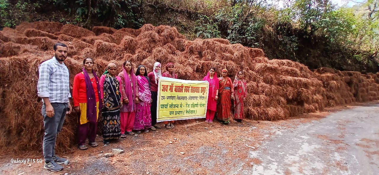 Nainital: महिलाओं ने बोझ को बदला उजाले में, जंगल भी बचे और घर भी रोशन