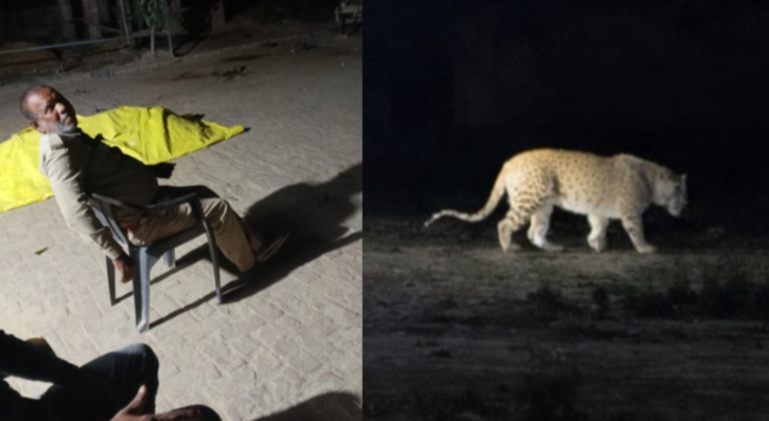 Gorakhpur: ‘चीते’ की अफवाह से गांव में दहशत, वन विभाग का अलर्ट