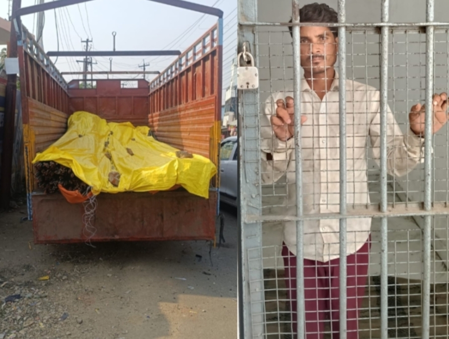 गोरखपुर में सरिया चोरी का बड़ा खुलासा! 12.50 टन माल के साथ चालक गिरफ्तार