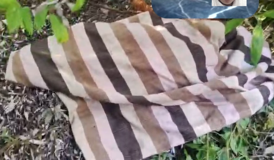 नैनीताल: जंगल में फिर आदमखोर गुलदार का कहर, महिला को खींचकर ले गया, लाश मिलने के बाद लोगों में बढ़ी दहशत