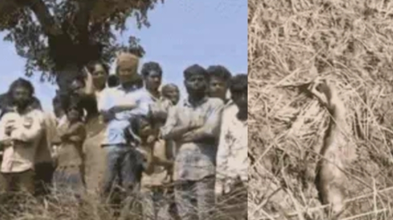 Gorakhpur: मिट्टी में दफन मिली महिला और नवजात की लाश, ऑनर किलिंग की आशंका से सनसनी